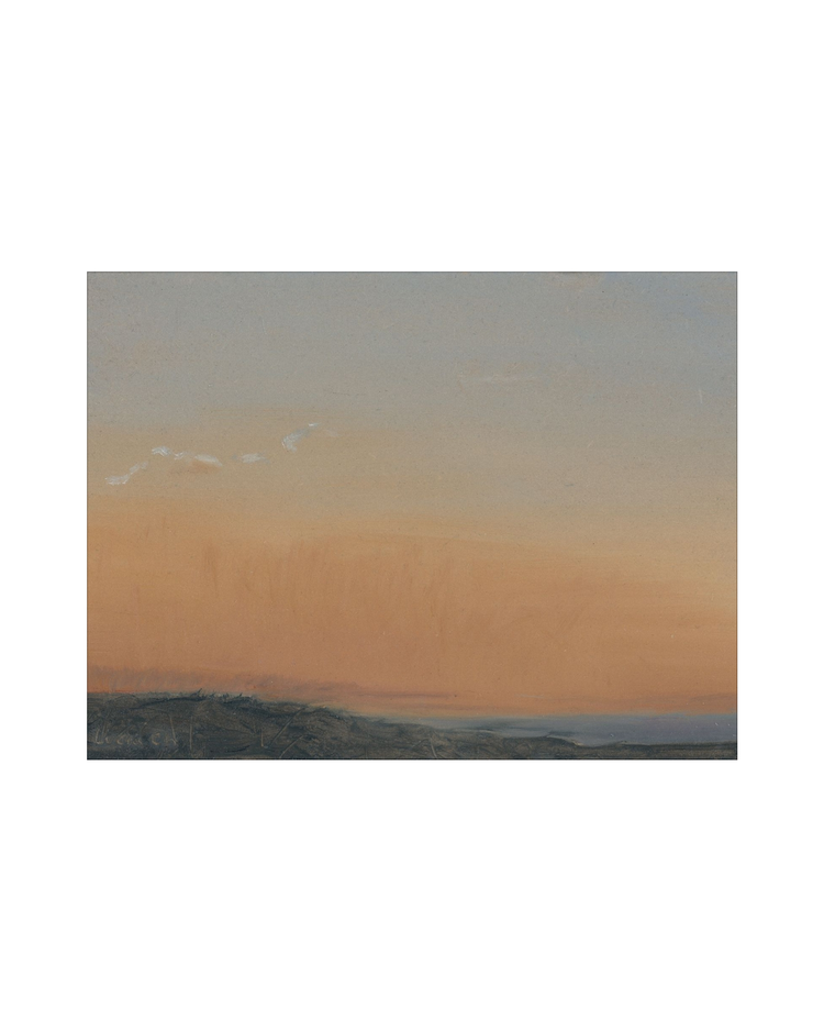 Skyline Chronicles VIII