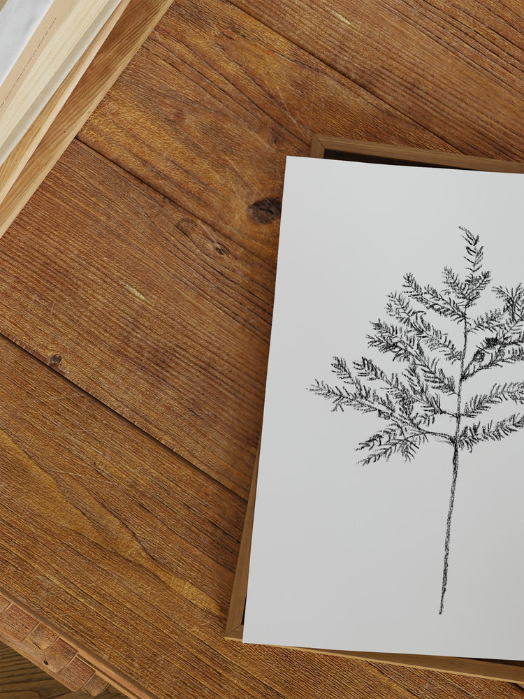 Hemlock Stem