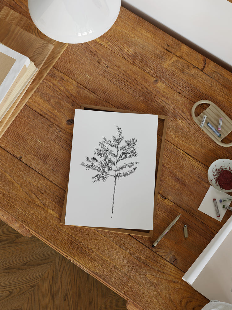 Hemlock Stem