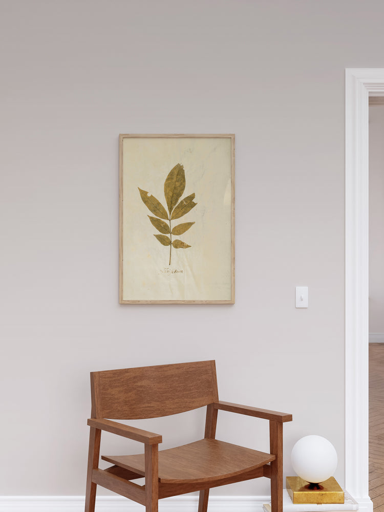 Herbarium XI