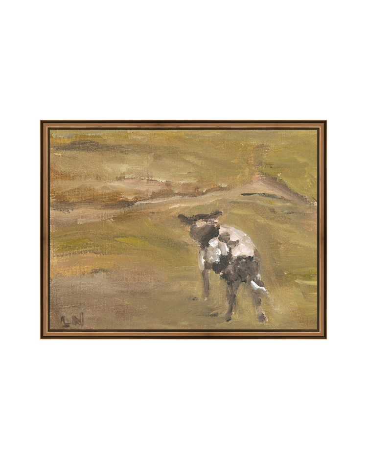Sheep in the Field