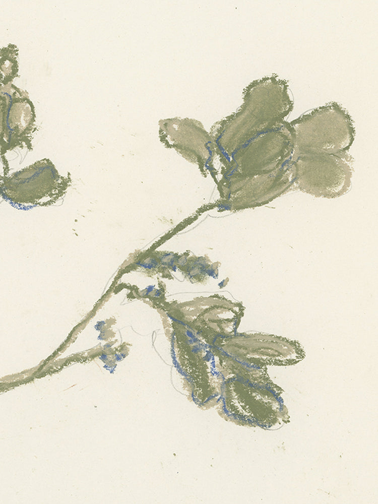 Pastel Mistletoe