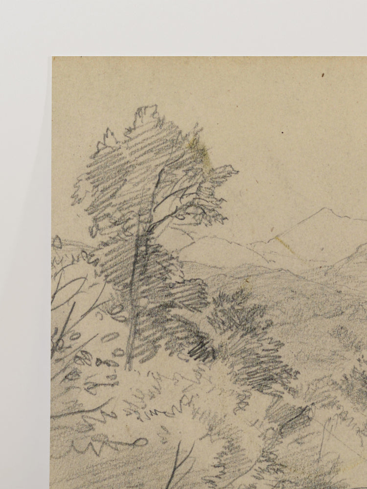Mountain Sketch