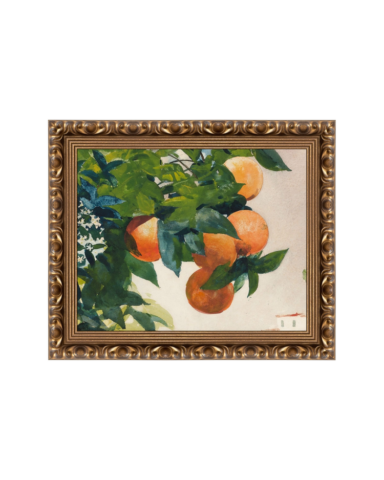 Fruit and Branch