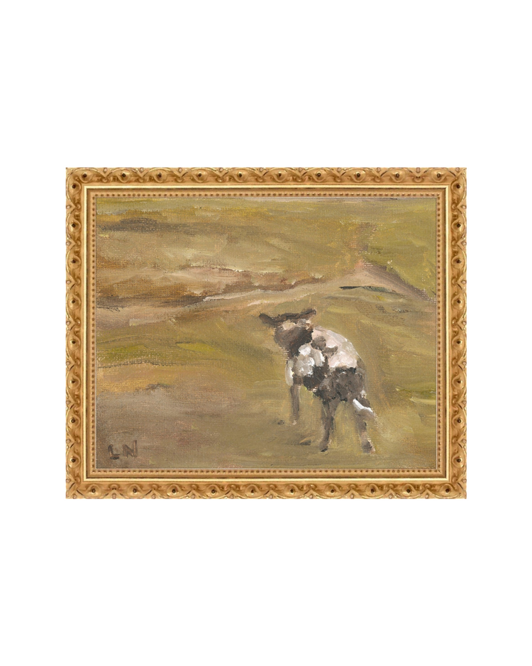 Sheep in the Field