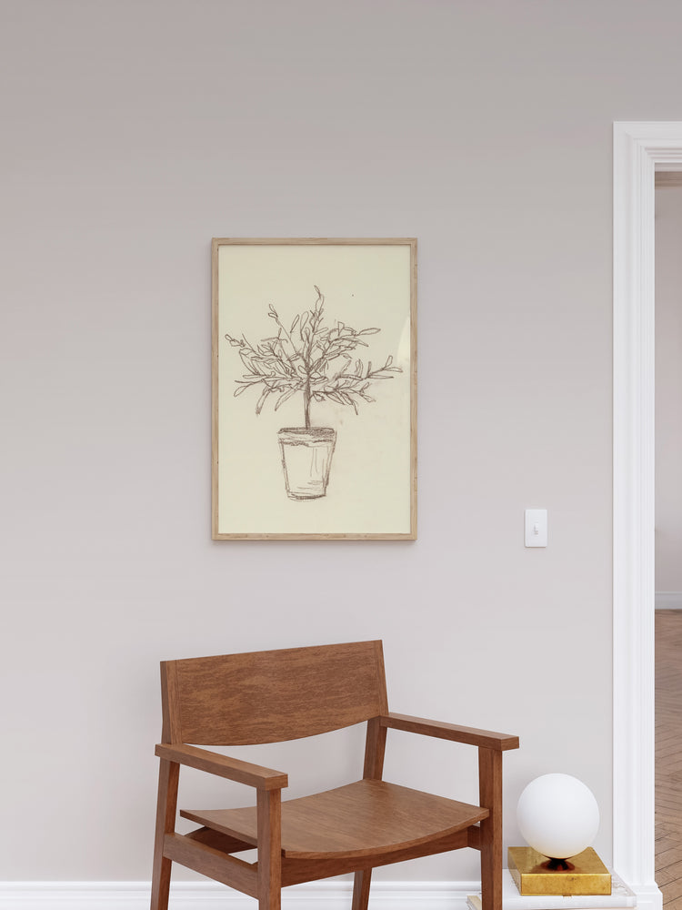 Olive Tree Sketch
