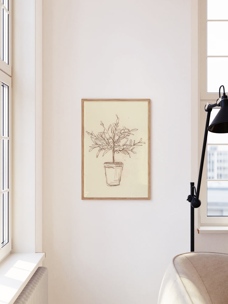 Olive Tree Sketch