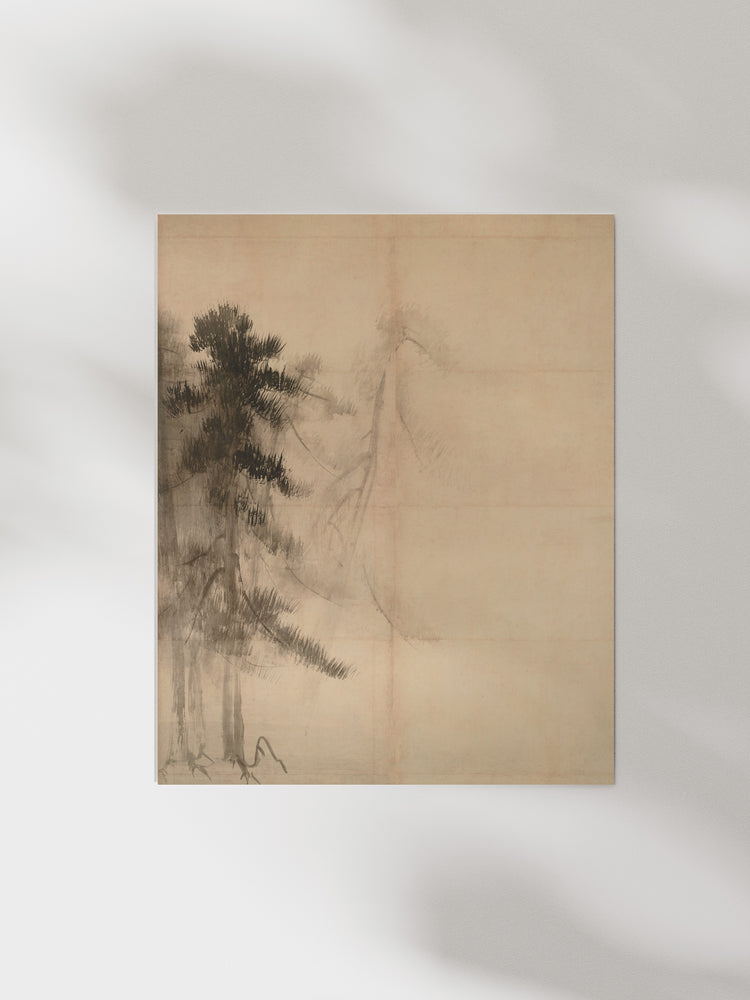 Pine Trees II