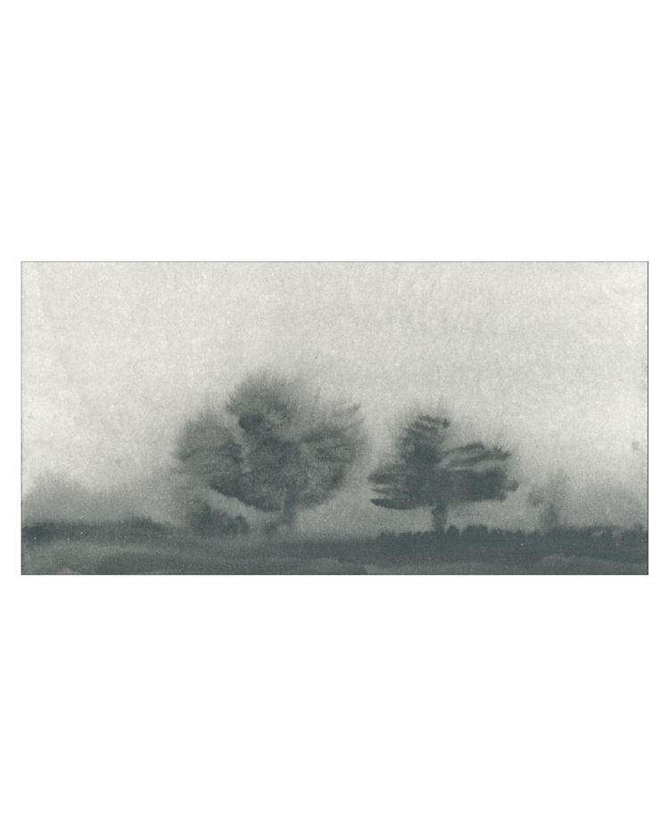Trees in the Mist Landscape