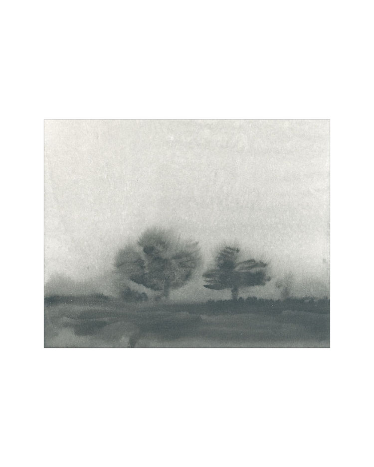 Trees in the Mist Landscape