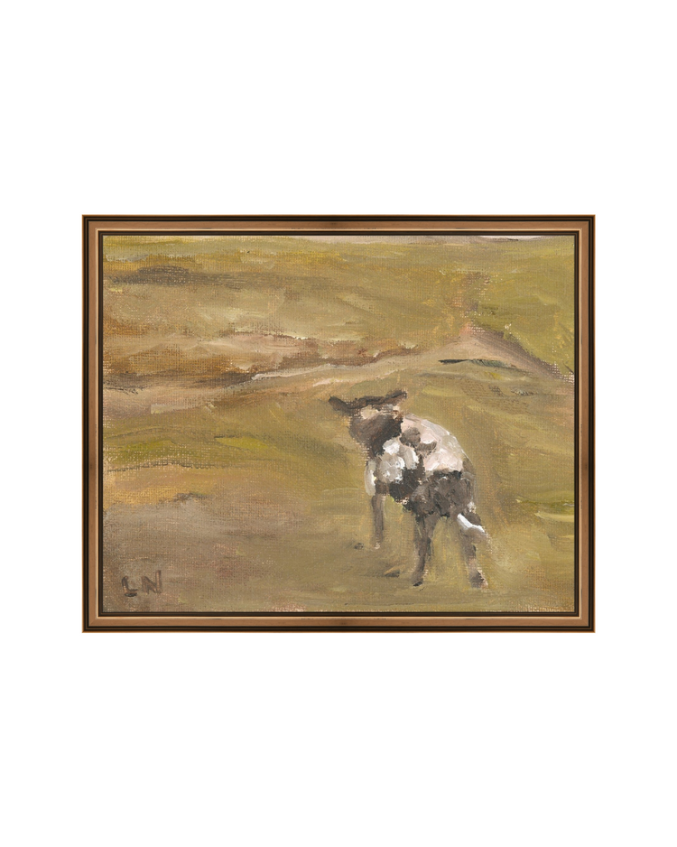 Sheep in the Field