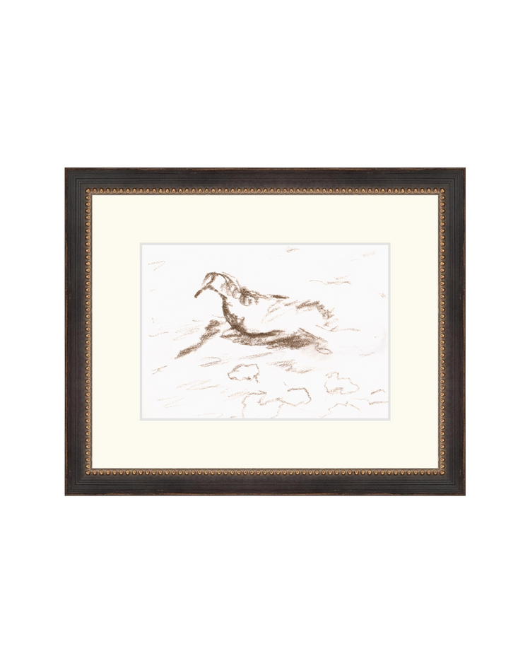 Wannsee Duck