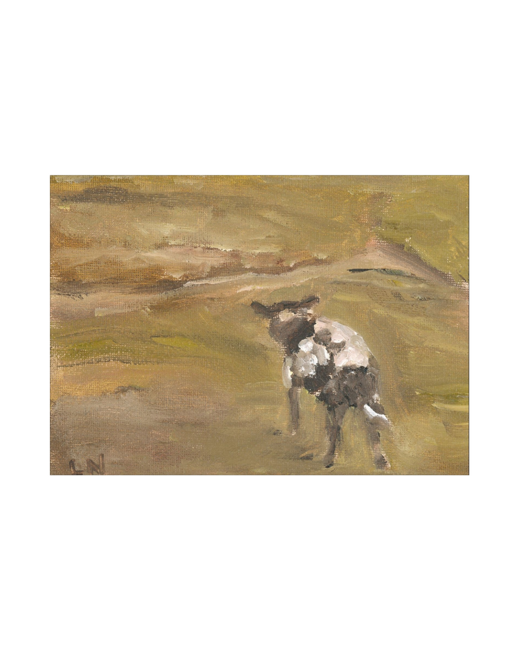 Sheep in the Field