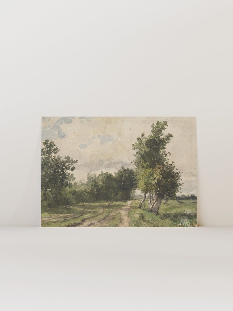 Roads Landscape