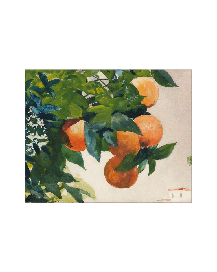 Fruit and Branch