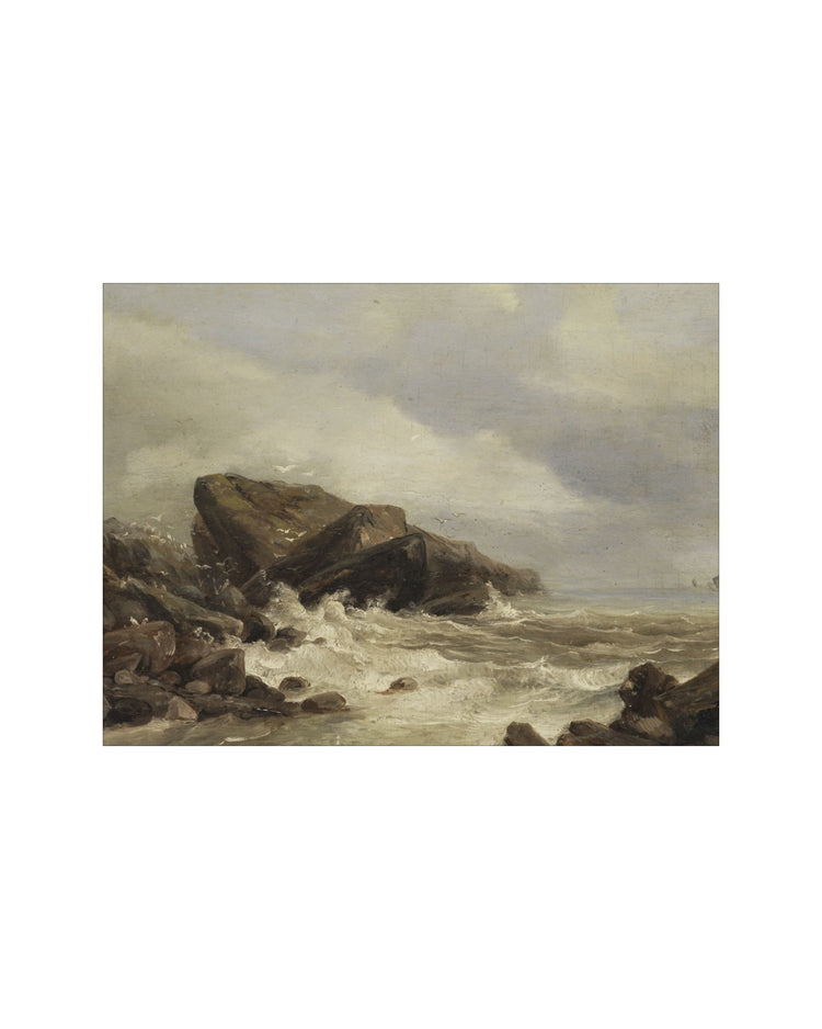 Stormy Coastline