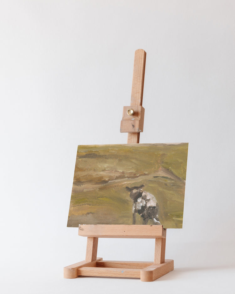 Sheep in the Field