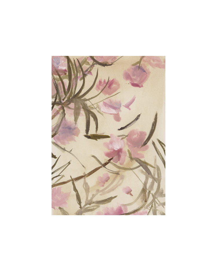 Pink Adelfa