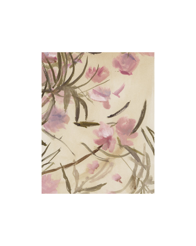 Pink Adelfa