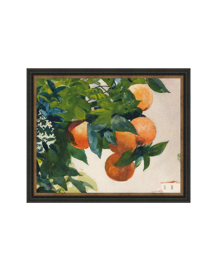Fruit and Branch