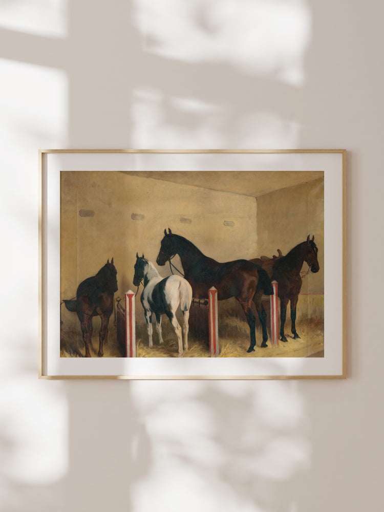 Stable II