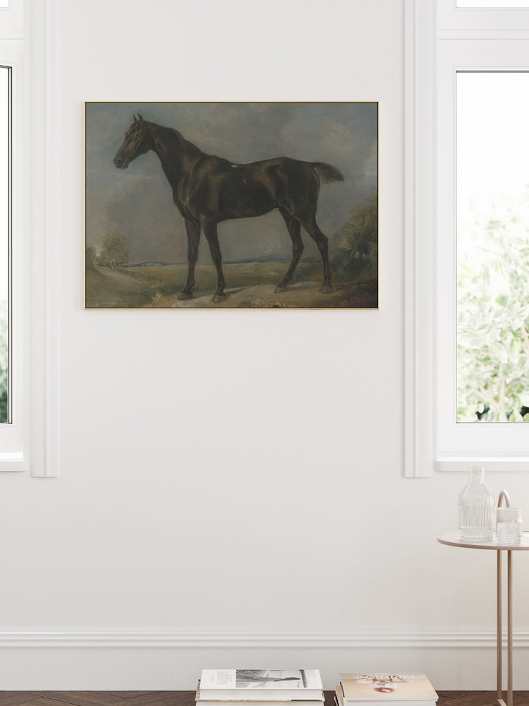 Study of a Horse II