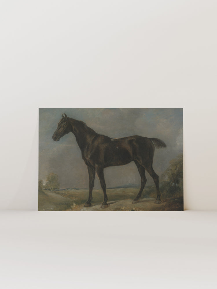 Study of a Horse II