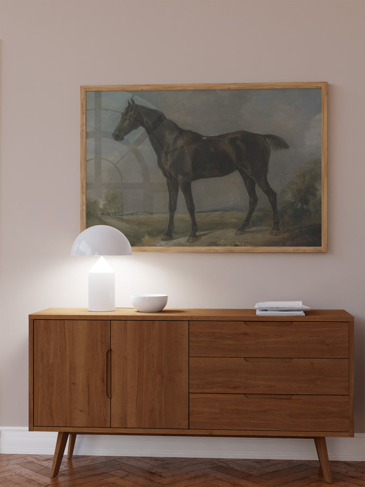 Study of a Horse II