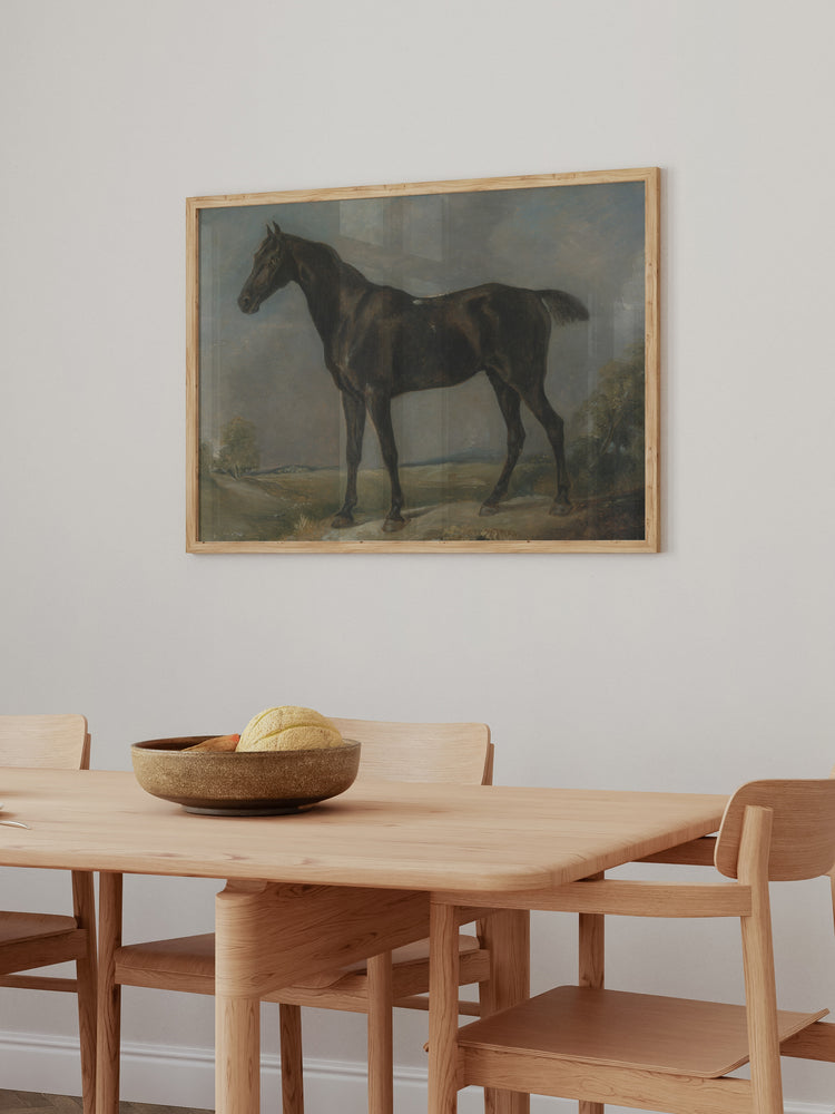 Study of a Horse II
