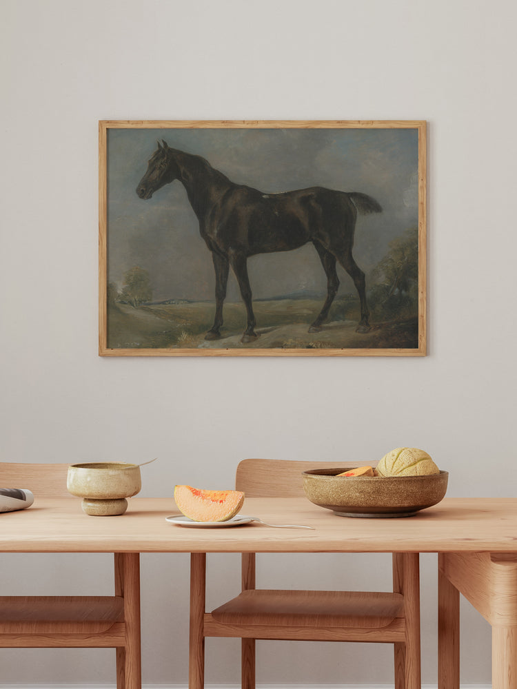 Study of a Horse II