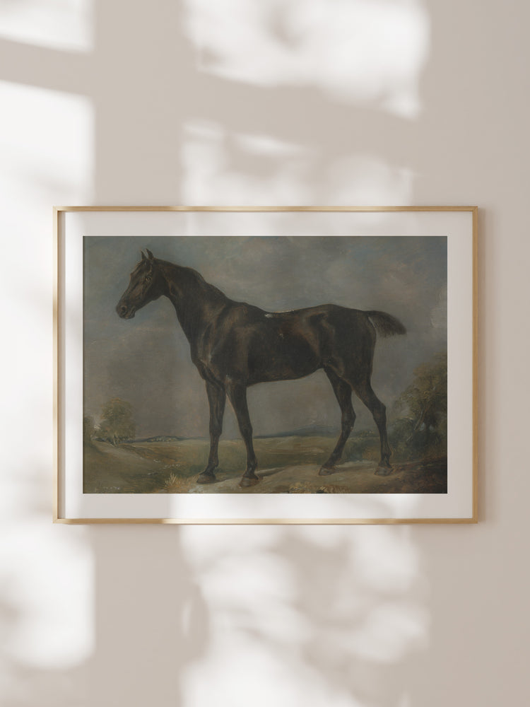 Study of a Horse II