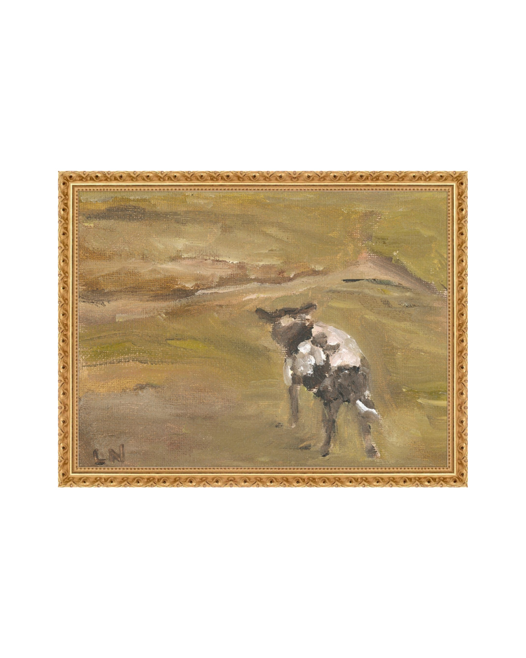 Sheep in the Field