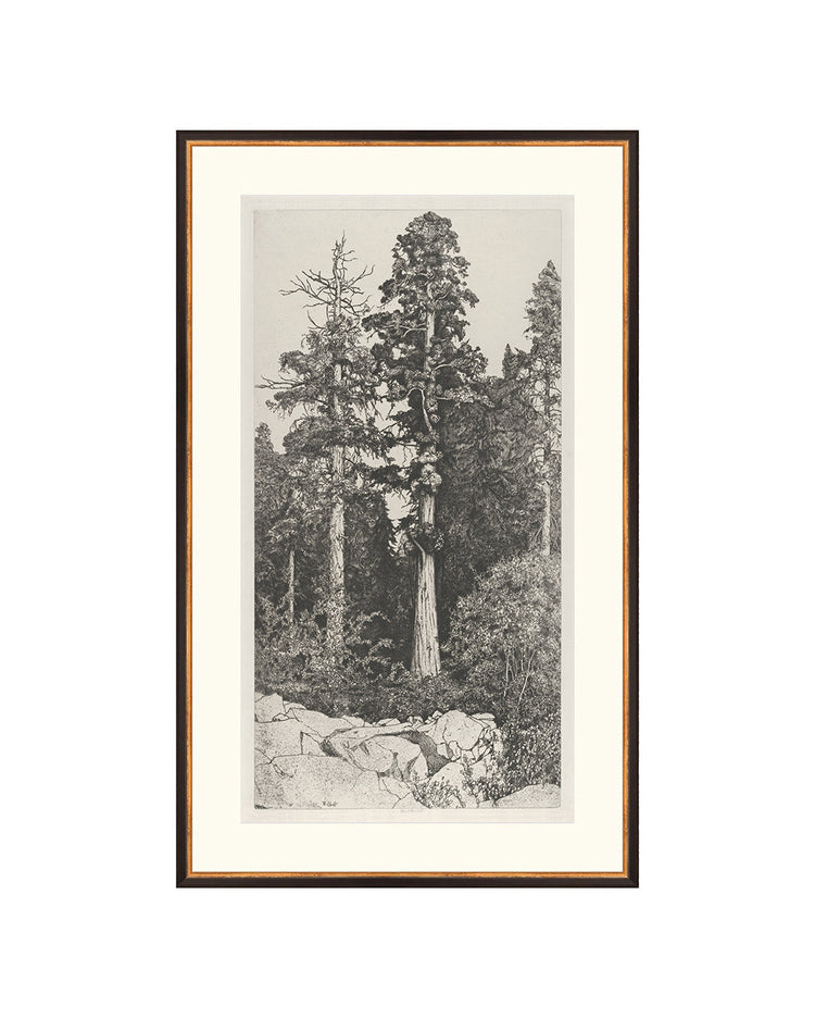 Trees Etching 5