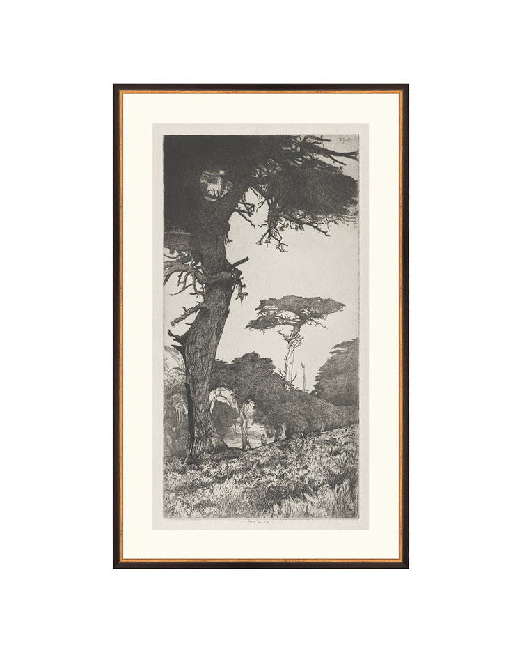 Trees Etching 6
