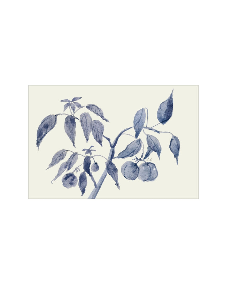 Sunland Botanicals No. 2