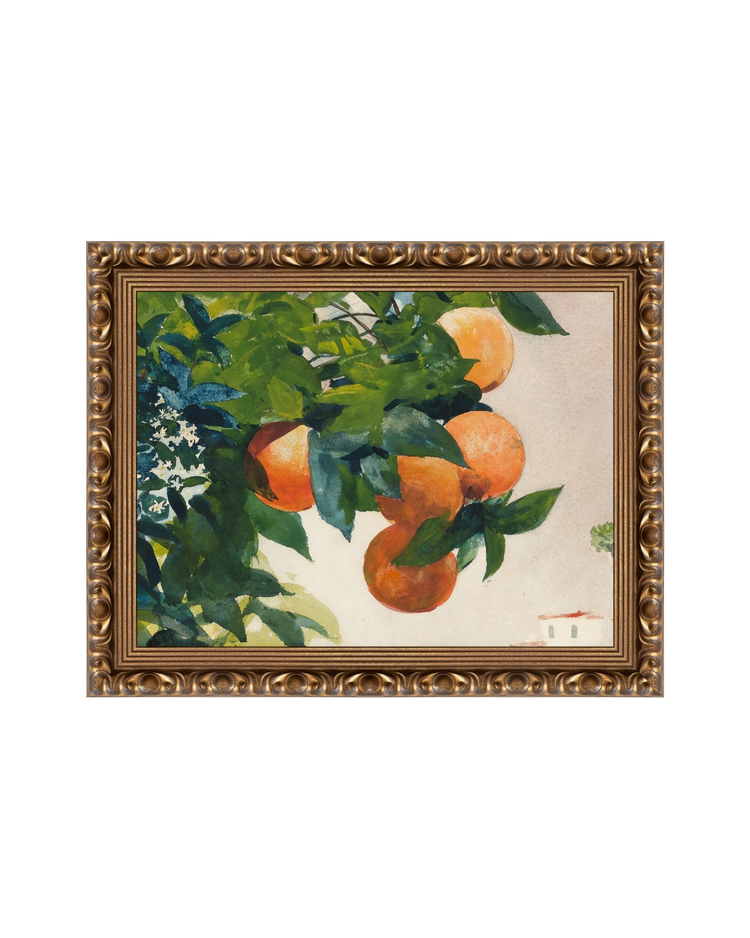 Fruit and Branch