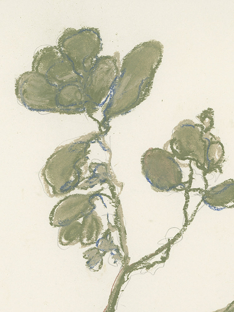 Pastel Mistletoe