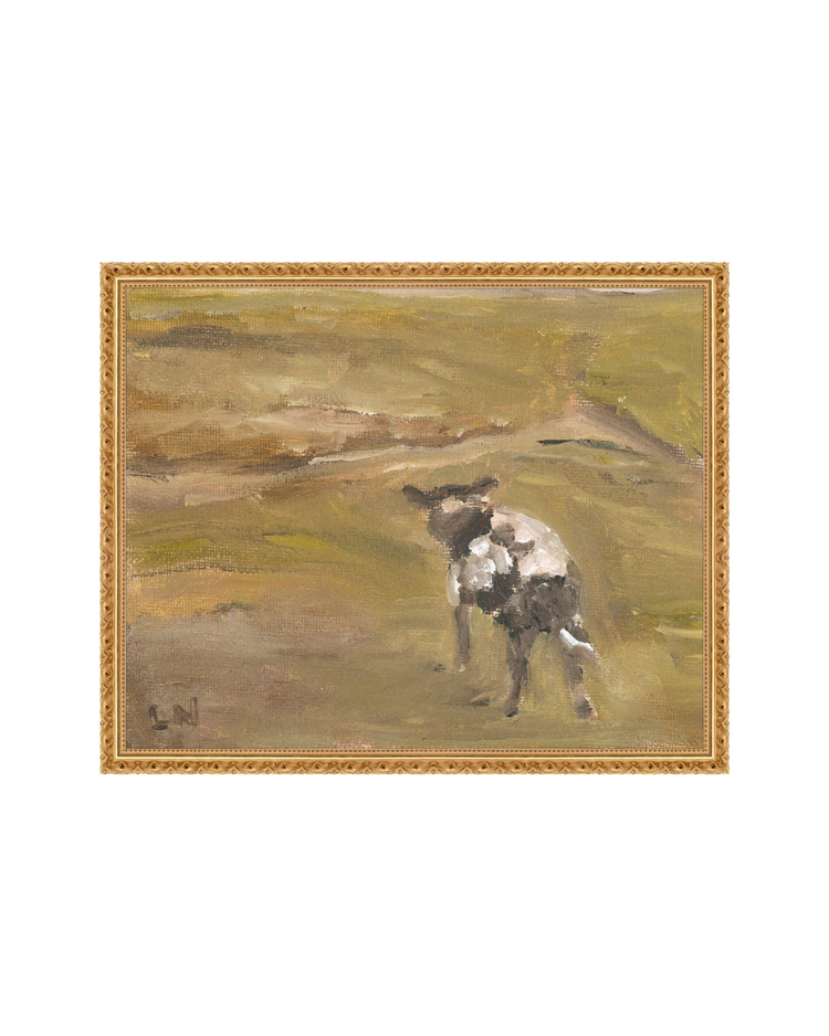 Sheep in the Field