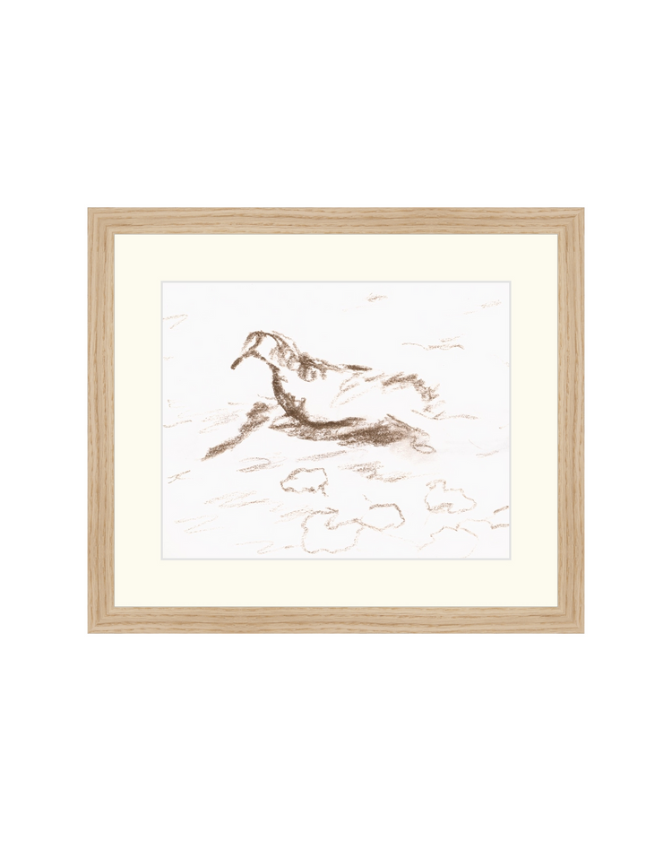 Wannsee Duck