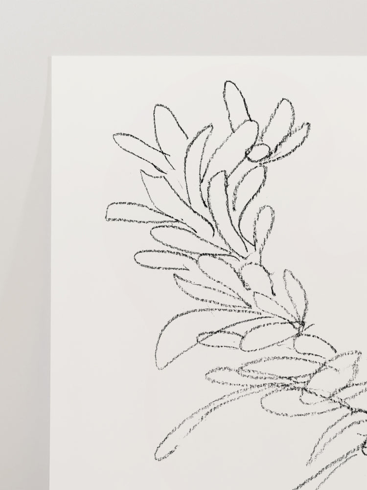 Wreath Sketch