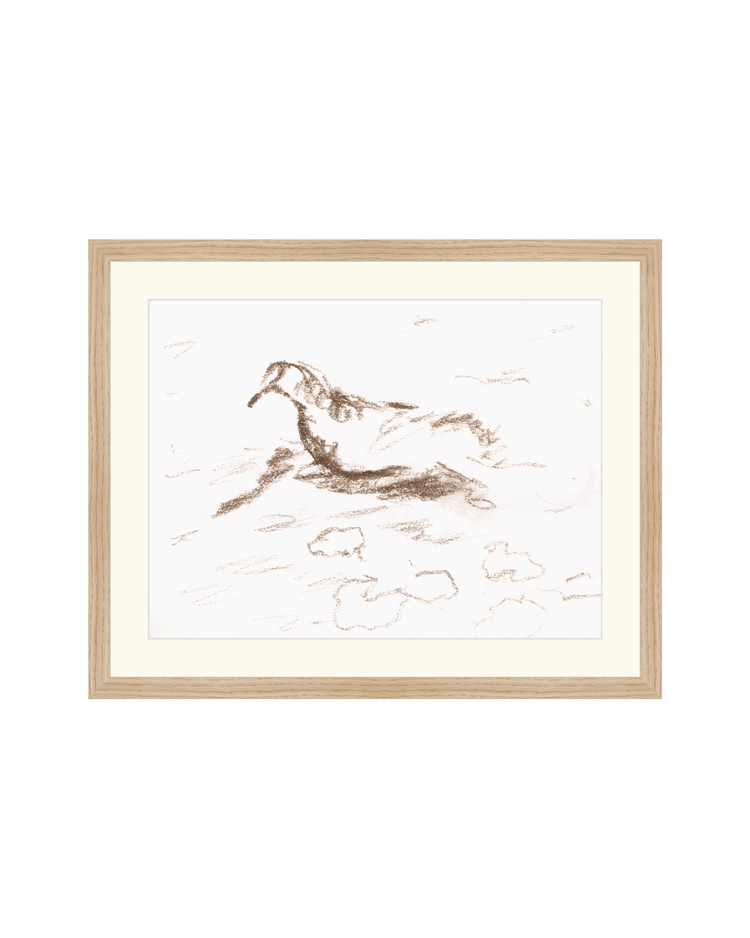 Wannsee Duck