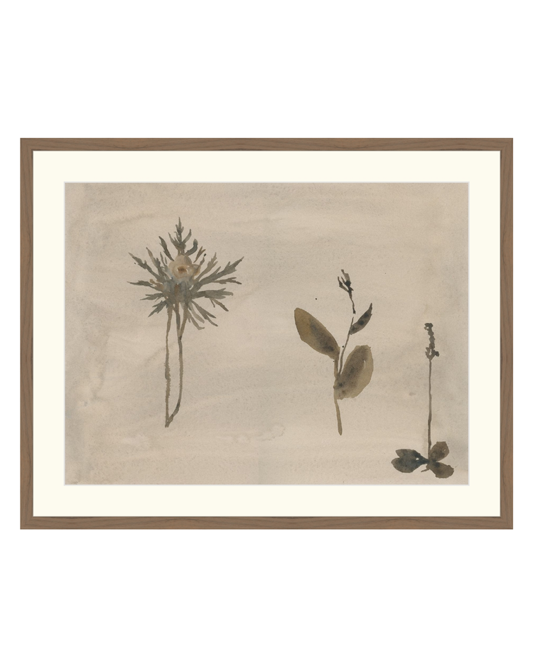 Botanical Thoughts IV