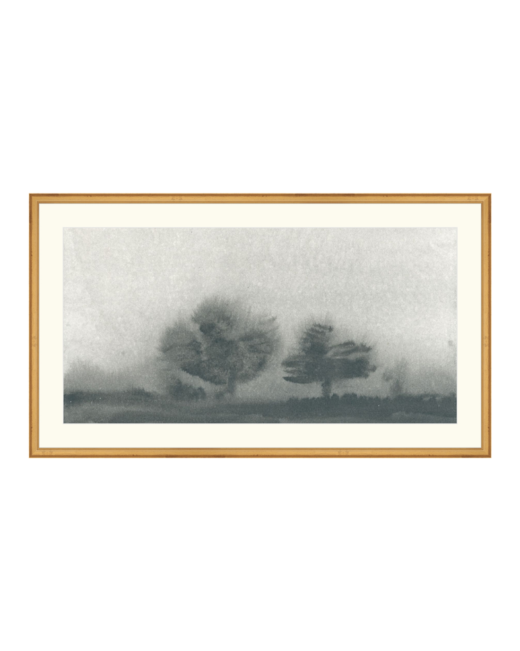 Trees in the Mist Landscape