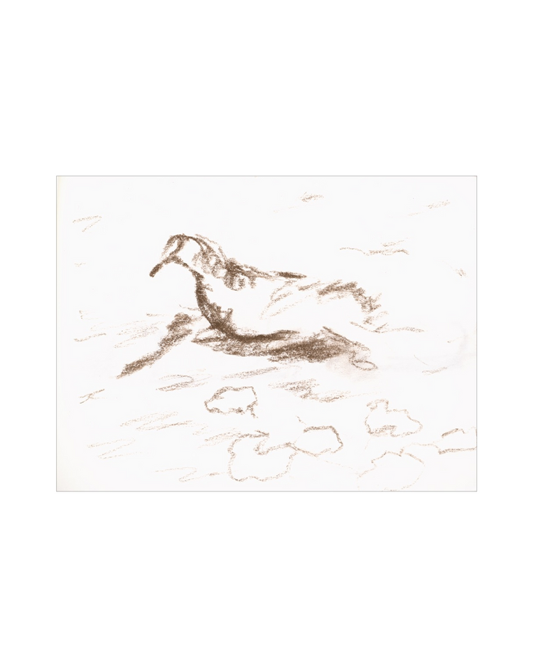 Wannsee Duck