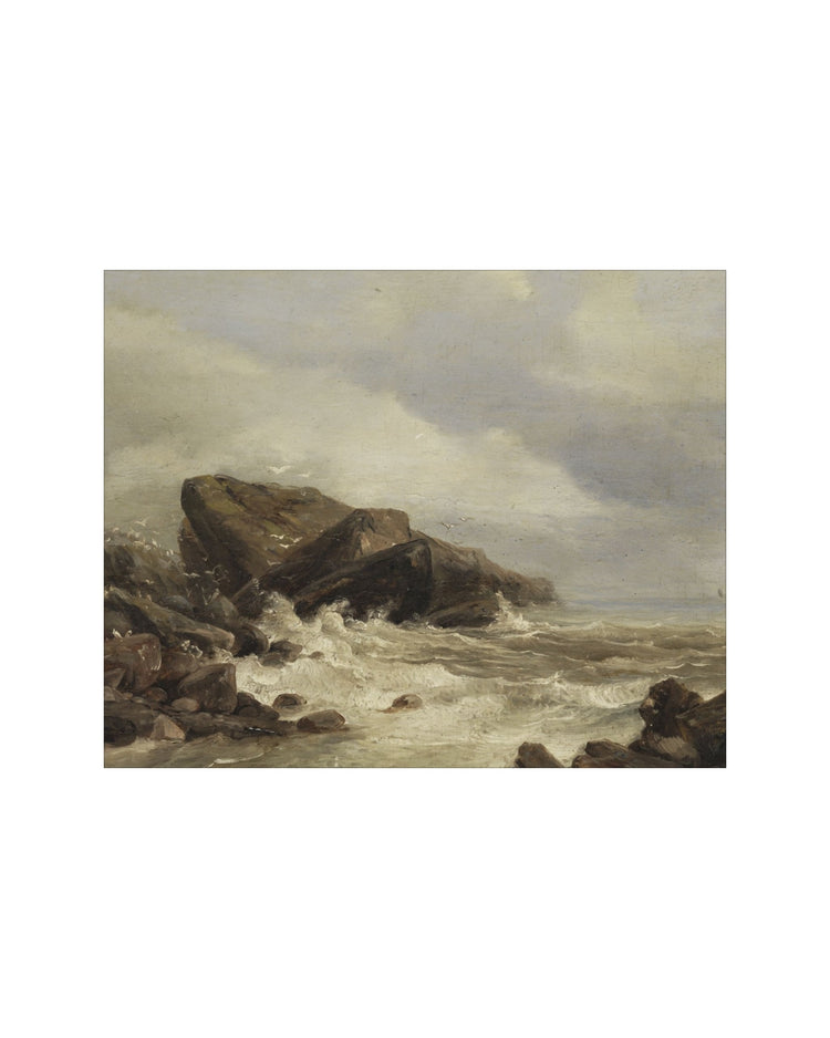 Stormy Coastline