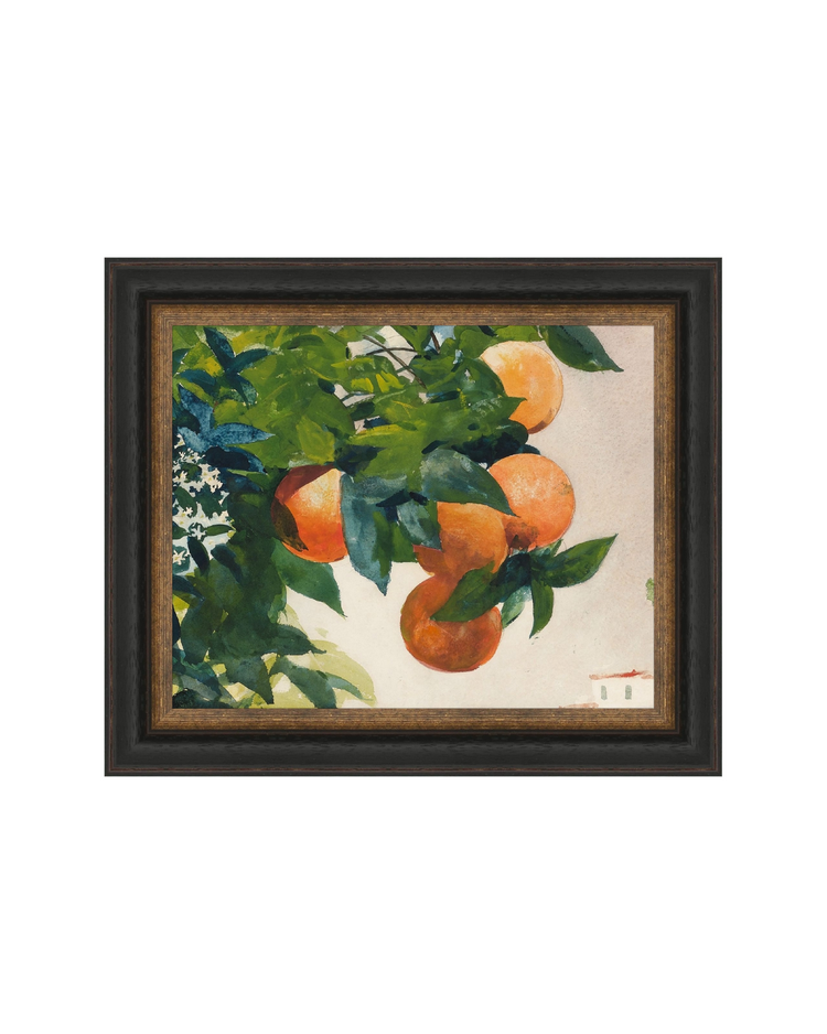 Fruit and Branch