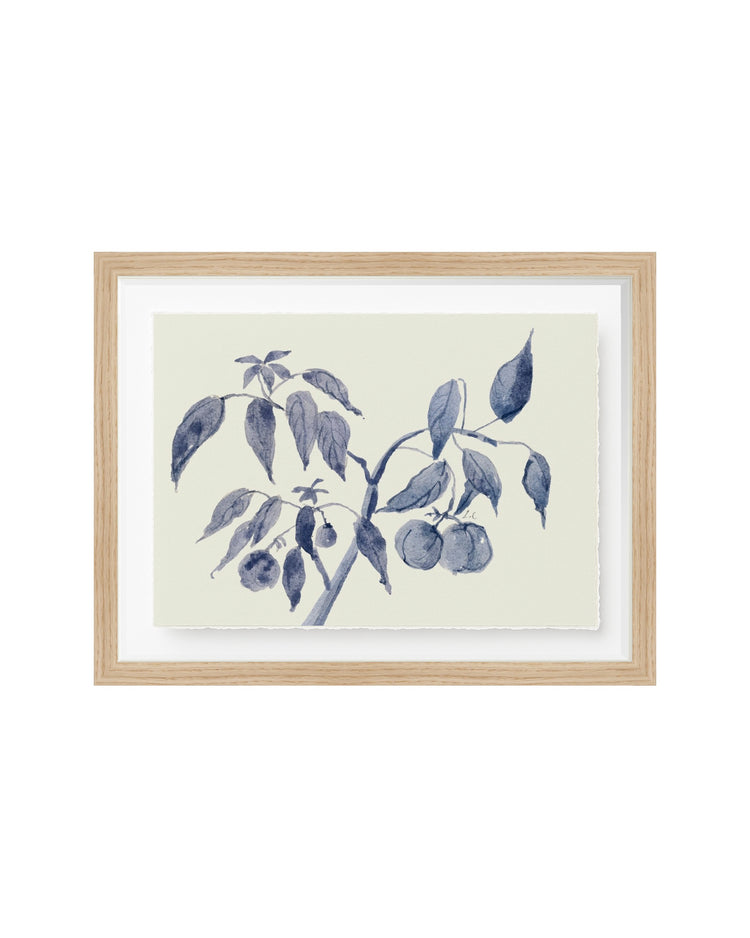 Sunland Botanicals No. 2