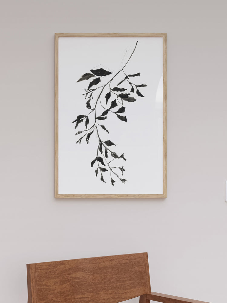 Botanical Ink Study II