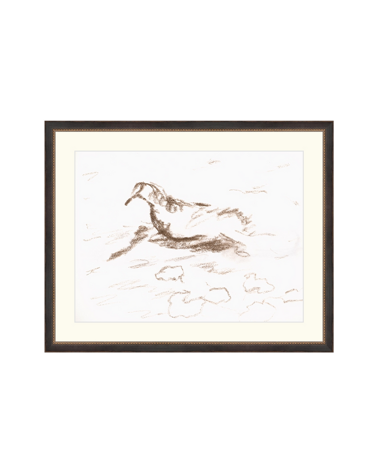 Wannsee Duck