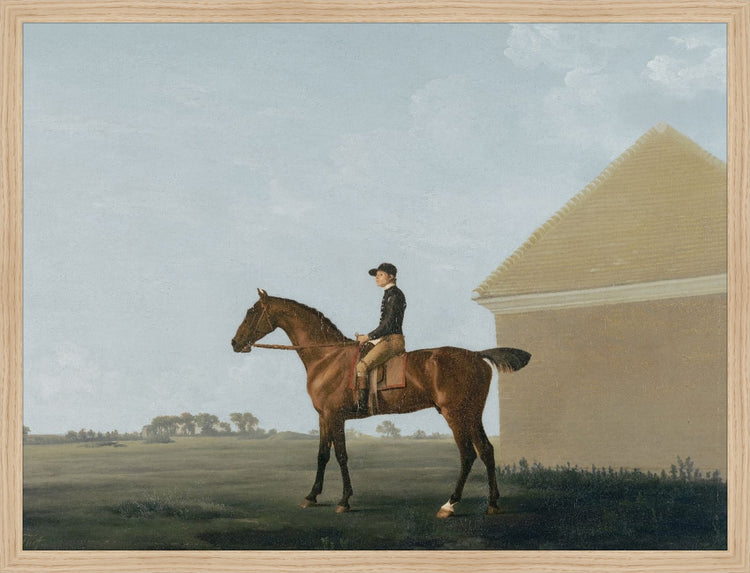 The Country Gentleman